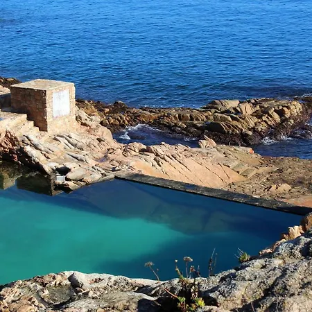 Magnolia, Habitacion Matrimonial Con Bano Uso Privado, En Casa Compartida בית אירוח *