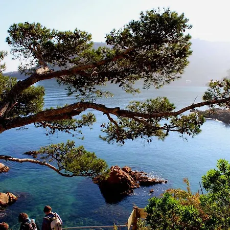 Magnolia, Habitacion Matrimonial Con Bano Uso Privado, En Casa Compartida בית אירוח *